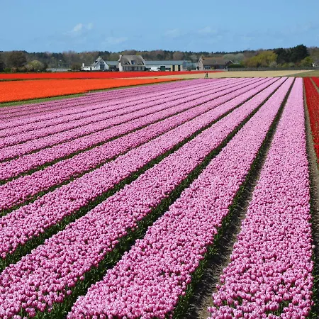 Сasa de vacaciones In Near Noordwijkerhout