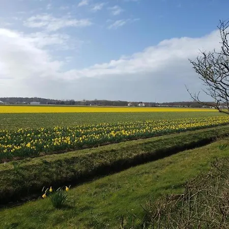 In Near Сasa de vacaciones