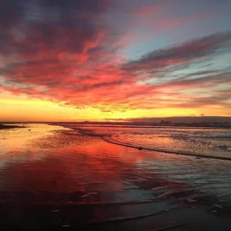 In Near Noordwijkerhout