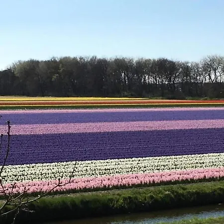 In Near Сasa de vacaciones *