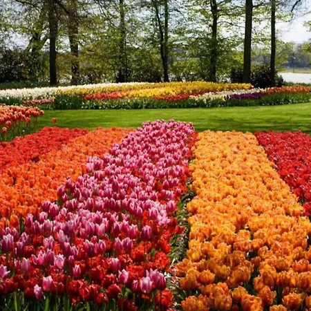 In Near Сasa de vacaciones Noordwijkerhout