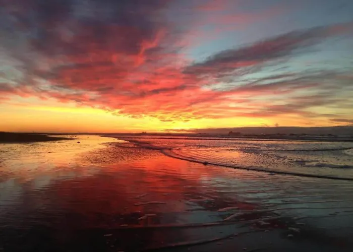 In Near Noordwijkerhout