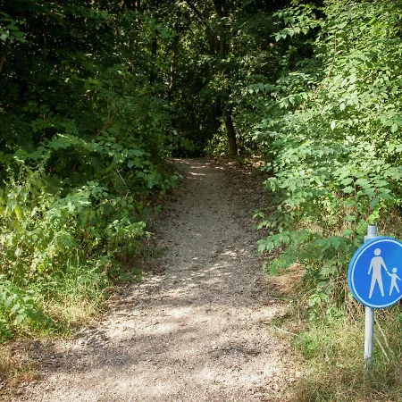 In Near