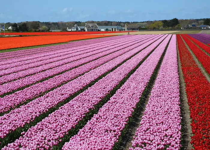 度假居 In Near 诺德克豪特