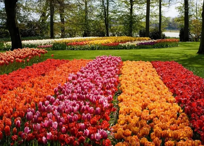 In Near 度假居 诺德克豪特